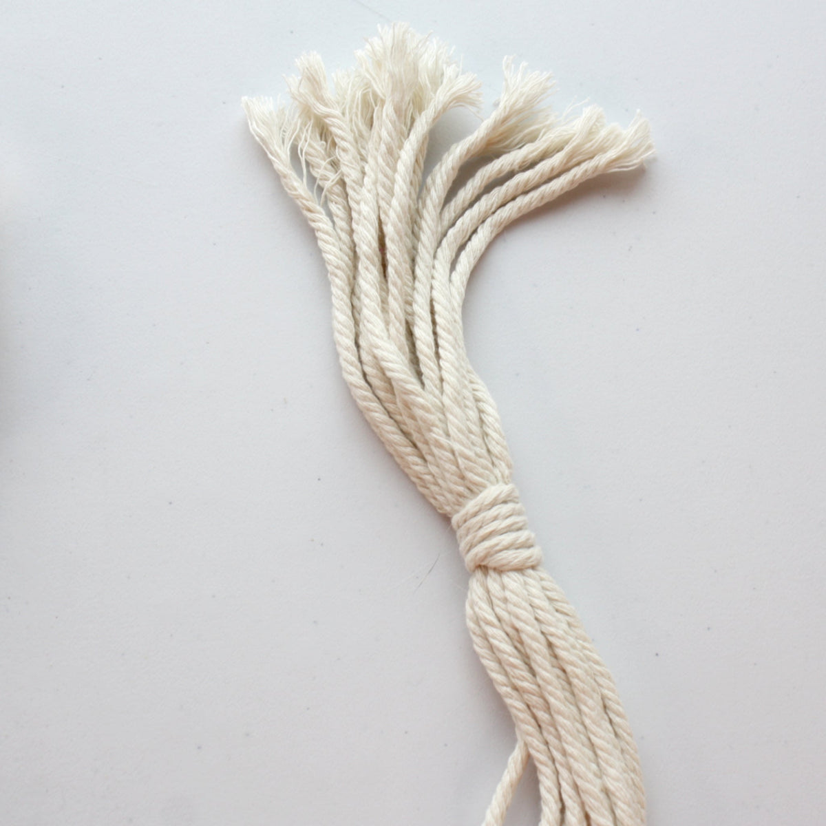 Macrame Boho Plant Hanger - Fancy - Made in the USA