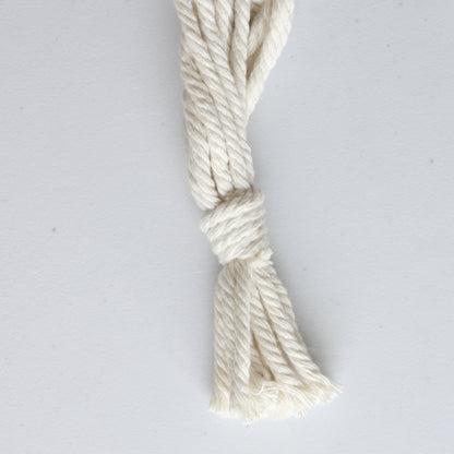 Macrame Boho Plant Hanger - Made in the USA