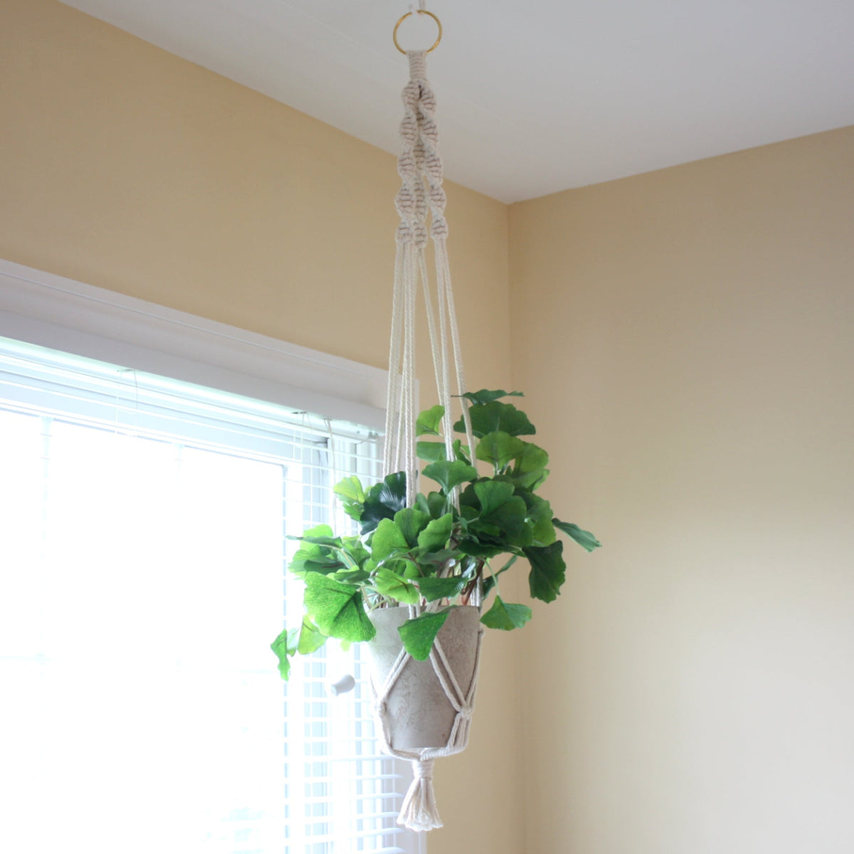 Macrame Boho Plant Hanger - Made in the USA