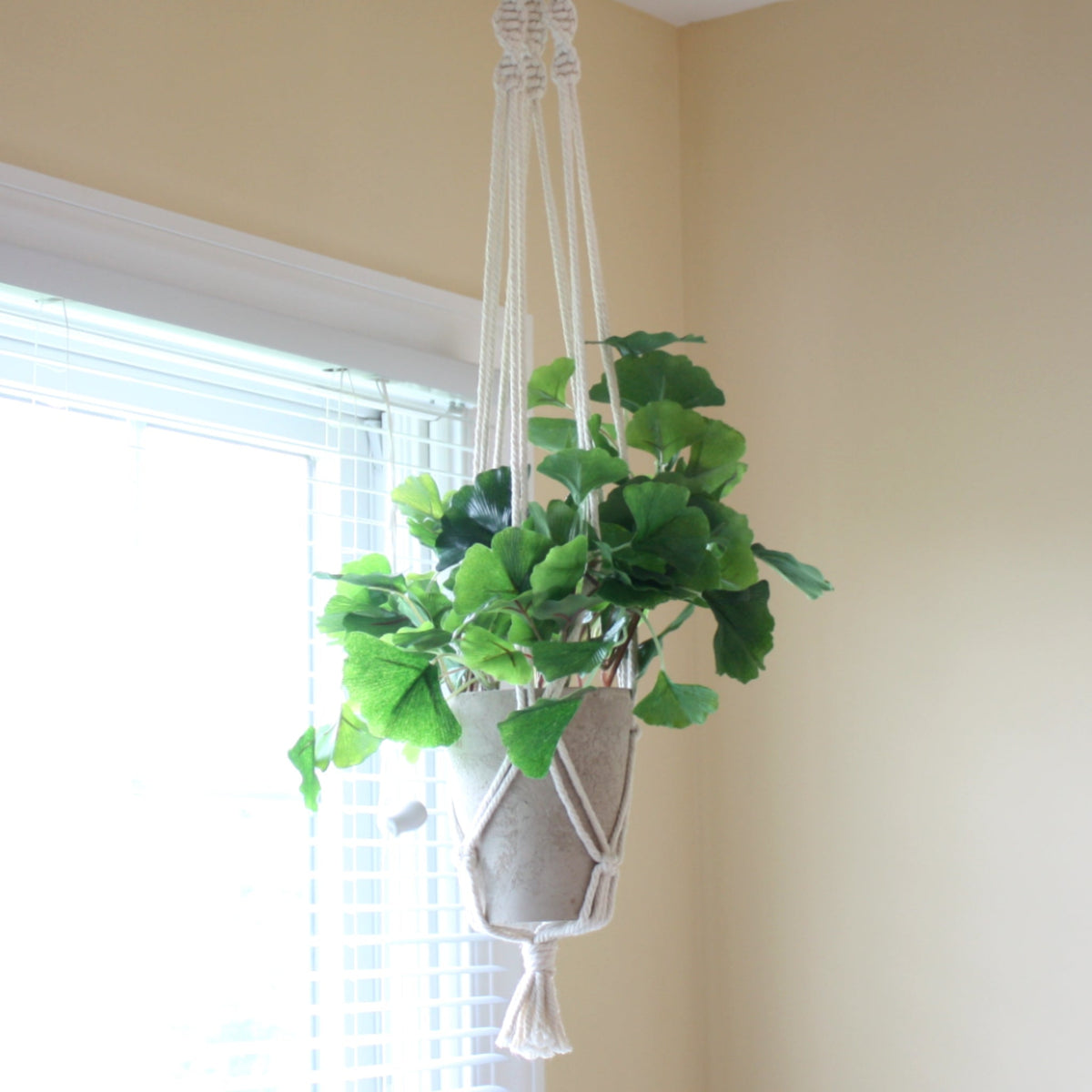 Macrame Boho Plant Hanger - Made in the USA
