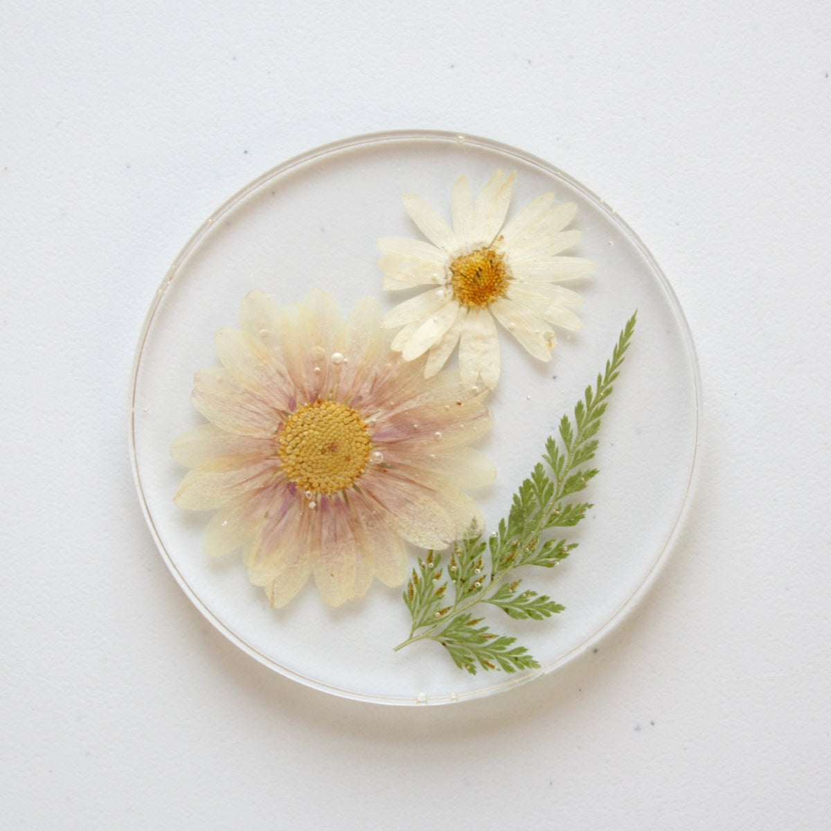 Pressed Flower Coaster - Made in the USA